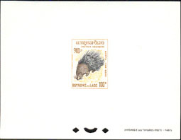 Himalayan Porcupine | RM. Himalayan Porcupine | RM.